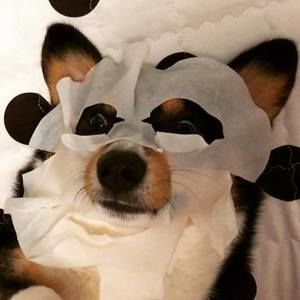 Meet your Posher, Cammy